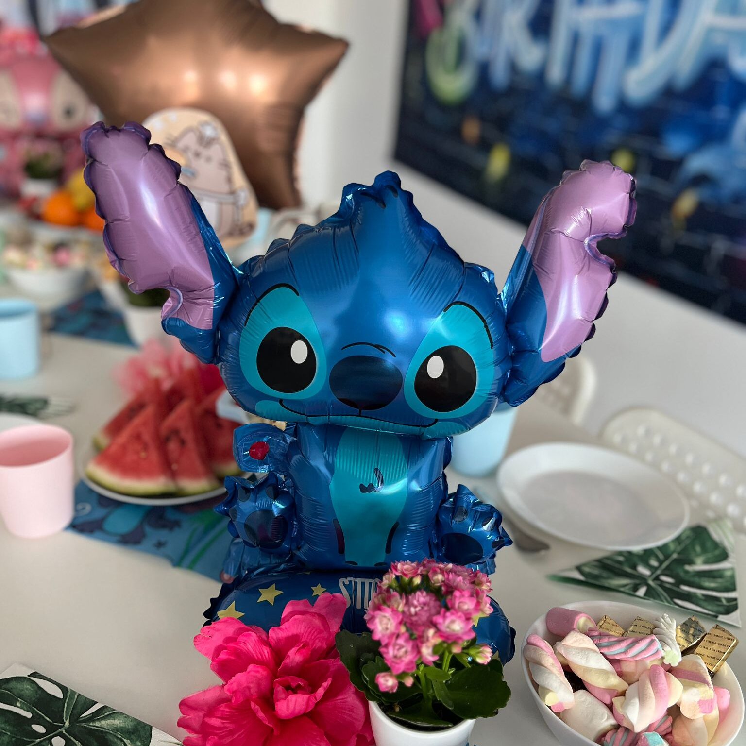 Stitch wittlab